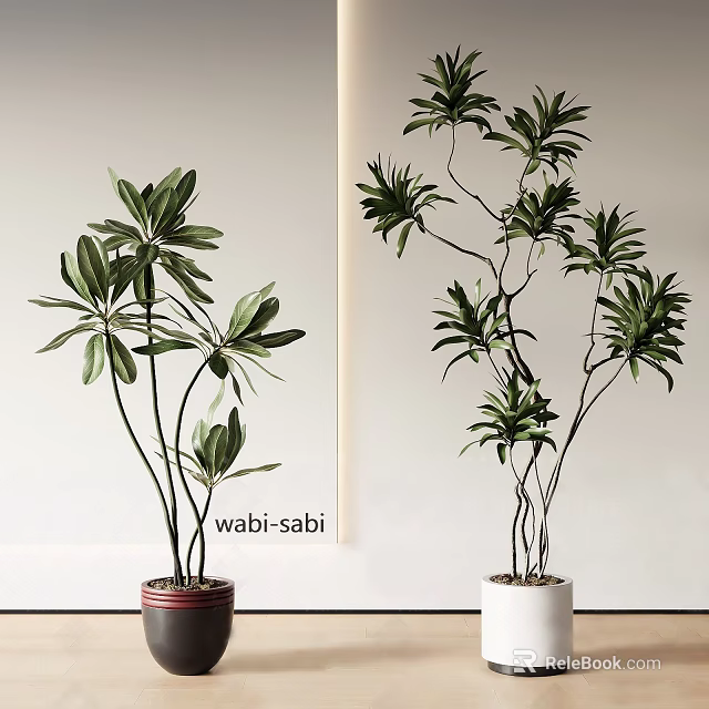 Bonsai Potted Plants In Wabi Sabi Style With Green Leaves And Tall Stems 3d model 