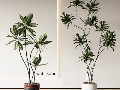 Bonsai Potted Plants In Wabi Sabi Style With Green Leaves And Tall Stems 3d model