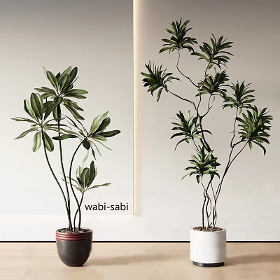 Bonsai Potted Plants In Wabi Sabi Style With Green Leaves And Tall Stems 3d model
