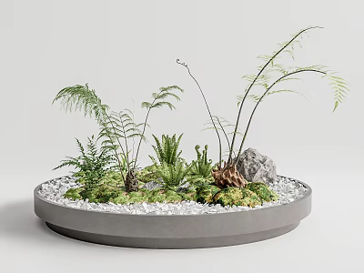 Round Concrete Bonsai Planter With Various Ferns Small Stones And White Pebbles 3d model