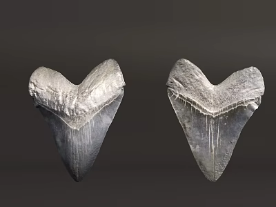 High Quality Heart Shaped Metal Hardware Tool Components With Textured Surface 3d model