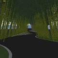 Bamboo Grove with Winding Road White Car and Pink Flowers on Stone Edges