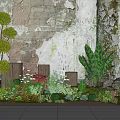 Varied Plant Combination with Spherical Trees Large Leaf Plants Flowers and Shrubs by Weathered Wall