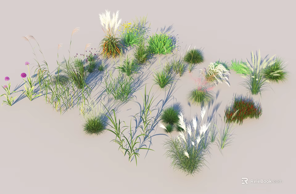 Diverse Decorative Grasses And Flowers With Green Herbaceous Plant Varieties 3d model 