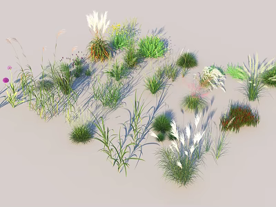 Diverse Decorative Grasses And Flowers With Green Herbaceous Plant Varieties 3d model