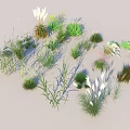 Diverse Decorative Grasses And Flowers With Green Herbaceous Plant Varieties