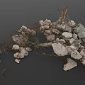 Natural Wood Pieces and Stone Chunks with Twisted Vines and Loose Dirt