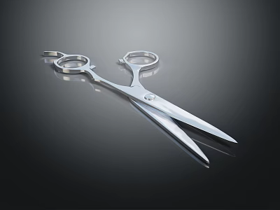 Premium Stainless Steel Scissors with Sharp Precision Blades and Ergonomic Ring Handles for Cutting Tasks 3d model