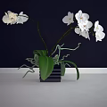 Bonsai Potted Plant With White Orchids Green Leaves And Black Square Pot