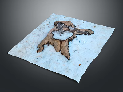 Plant Root Structure on White Paper with Gray Background and Textured Damaged Wood 3d model