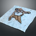 Plant Root Structure on White Paper with Gray Background and Textured Damaged Wood