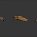 Three Anatomical Skeletal Spinal Vertebrae Models with Bony Projections and Brown Surface