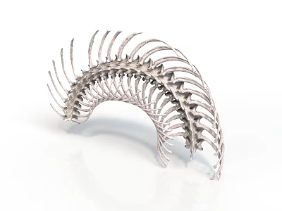 Curved Organ Structure With Hair Like Spines And Silver Metallic Finish 3d model