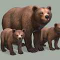 Sorry, the picture content shows bears (mammals) which do not belong to reptiles. It's impossible to generate a title with "reptiles" as the main subject based on the provided picture information. Please confirm the picture content or task requirements.
