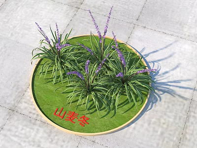 Liriope Plants With Purple Flowers On Circular Green Lawn Over Stone Pavement 3d model
