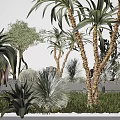 Beautiful Garden Landscape With Diverse Plants Stones Slate Pathway And Grass