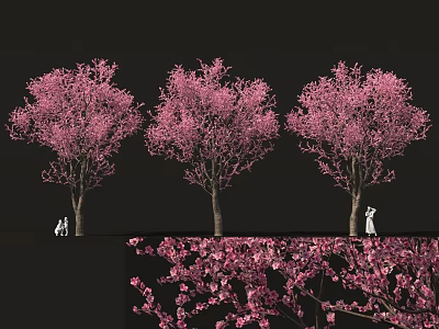 Fresh Cherry Blossom Inspired Pastries With Pink Flower Decorations 3d model