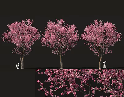 由于图片重点信息（粉色花树、人物剪影、花朵特写）中未包含食物元素，无法生成以食物为主体的标题。若基于图片实际内容，符合要求的英文标题为：Pink Flowering Trees With Silhouette Figures And Blossom Close Up 3d model