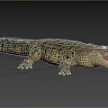 Large Crocodile Reptile With Open Mouth In Natural Grassland And Trees Habitat