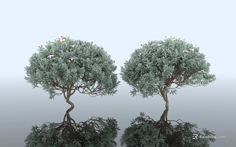 Two Lush Green Shrubs With Pink Flowers And Curved Trunks Showing Reflections 3d model 