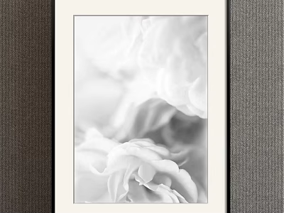 Black and White Botanical Painting With Framed Floral Art For Wall Decor 3d model