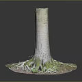 Natural Wooden Stump Design With Stone Base And Moss Covered Roots