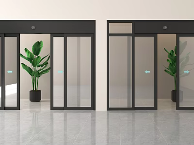 Modern Double Doors With Clear Glass Frame And Potted Green Plant In Interior Design 3d model