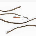 Natural Dry Wooden Branches for Rustic Home Decor Craft Projects