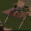 Outdoor Chairs With Folding Table Lantern Metal Bucket And Fruits On Grass