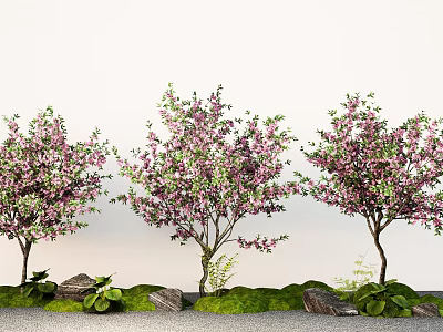Cherry Blossom Peach Blossom Tree Landscape Tree Street Tree Courtyard Tree 3d model