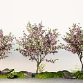 Cherry Blossom Peach Blossom Tree Landscape Tree Street Tree Courtyard Tree 3d model