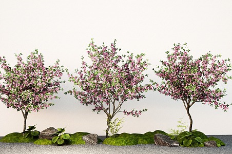 Cherry Blossom Peach Blossom Tree Landscape Tree Street Tree Courtyard Tree 3d model