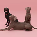Three Brown And Black Reptiles Posing On Pink Background In Studio 3d model