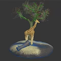 Spotted Giraffe Standing Under Green Leaf Tree On Circular Natural Base With Grass And Log