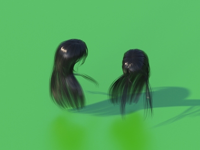 Hair Wig Hair Set 3d model