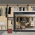 Modern Wooden And Metal Wardrobe Interior Design With Hanging Clothes Storage Boxes And Shoes
