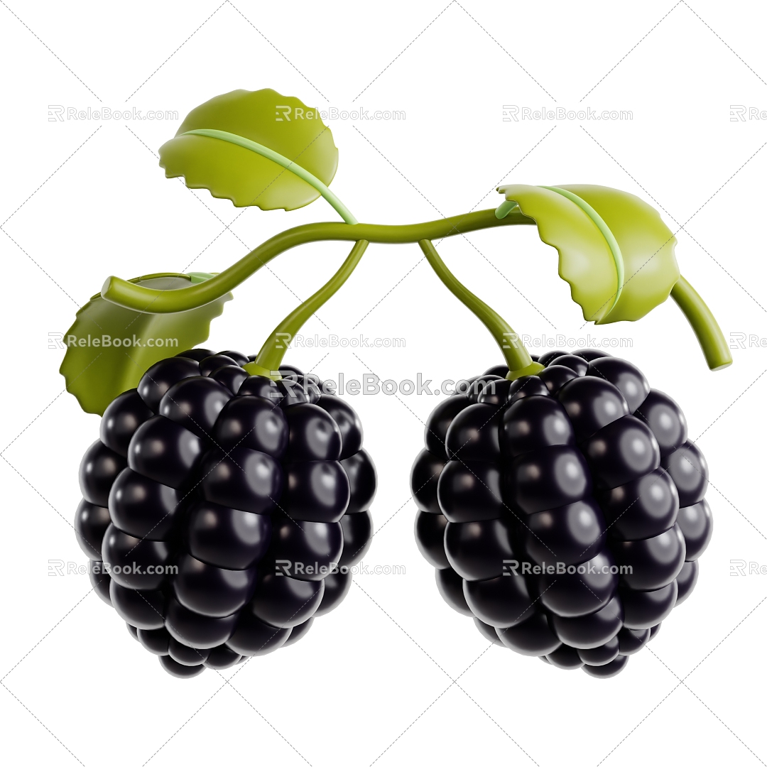 Modern Mulberry Fruit Cartoon Fruit Fresh Fruit 3d model