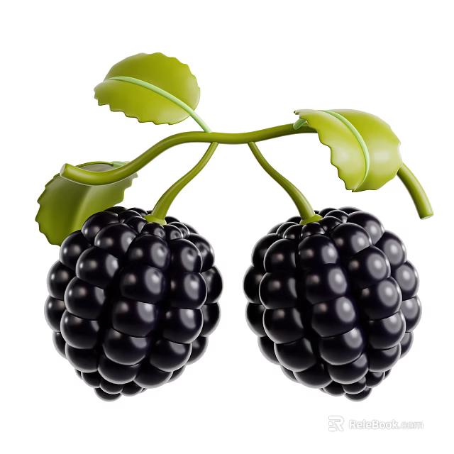 Fresh Ripe Blackberries Hanging On Green Leafy Vines In Natural Environment 3d model 