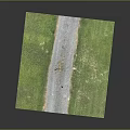 Rural Road Scene With Gray Pavement Green Grassland Tripod And Small Bird