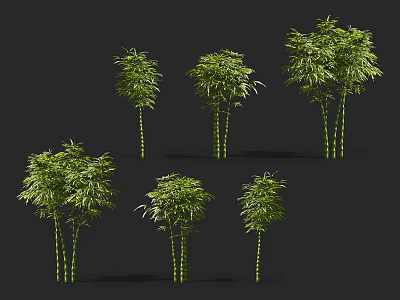 Natural Green Bamboo Plants with Various Heights and Lush Foliage 3d model