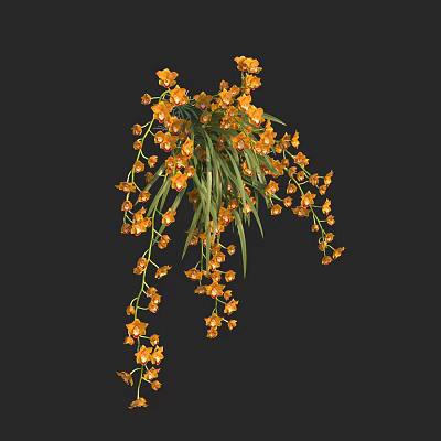 Modern Orange Orchid 3d model Modern Orange Orchid 3d model