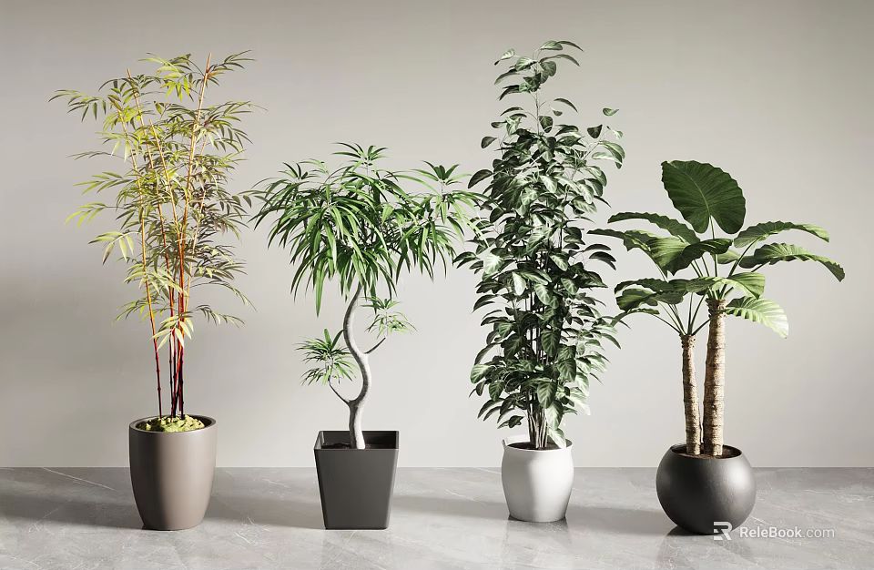 Various Types Of Indoor Bonsai Potted Plants With Different Colored Pots For Home Decor 3d model 