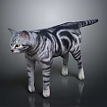 Realistic Gray Striped Cat With Detailed Fur Standing On Smooth Gray Background