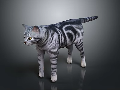 Realistic Gray Striped Cat With Detailed Fur Standing On Smooth Gray Background 3d model