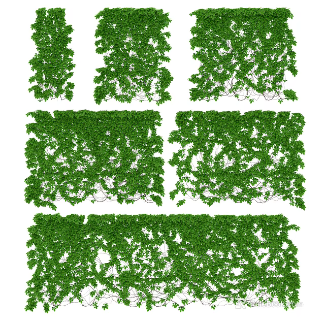 Lush Green Decorative Vines Covering Wall For Natural Outdoor Landscape Design 3d model 