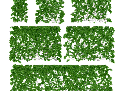 Lush Green Decorative Vines Covering Wall For Natural Outdoor Landscape Design 3d model