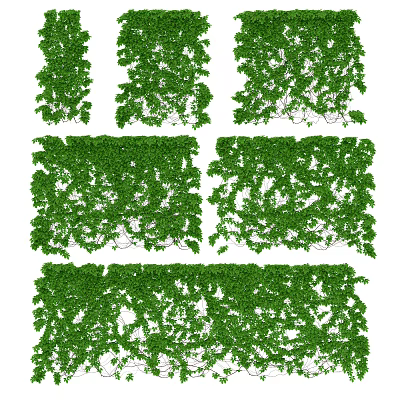 Lush Green Decorative Vines Covering Wall For Natural Outdoor Landscape Design 3d model