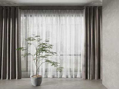 Grey Curtains And White Sheer Curtains In Modern Minimalist Interior With Potted Plant Near Window 3d model