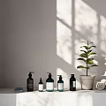 Minimalist Perfume Cosmetics Bottles In Dark Teal Tones On White Surface With Green Plant