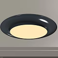 Round Black Frame Ceiling Light With White Illumination And Modern Design 3d model